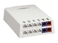 Panduit MINI-COM Multi-Media/Fiber Surface Mount Box - krabice k upevnění na povrch