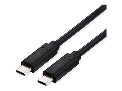 ROLINE USB4 Gen2x2 Kabel C-C 2m