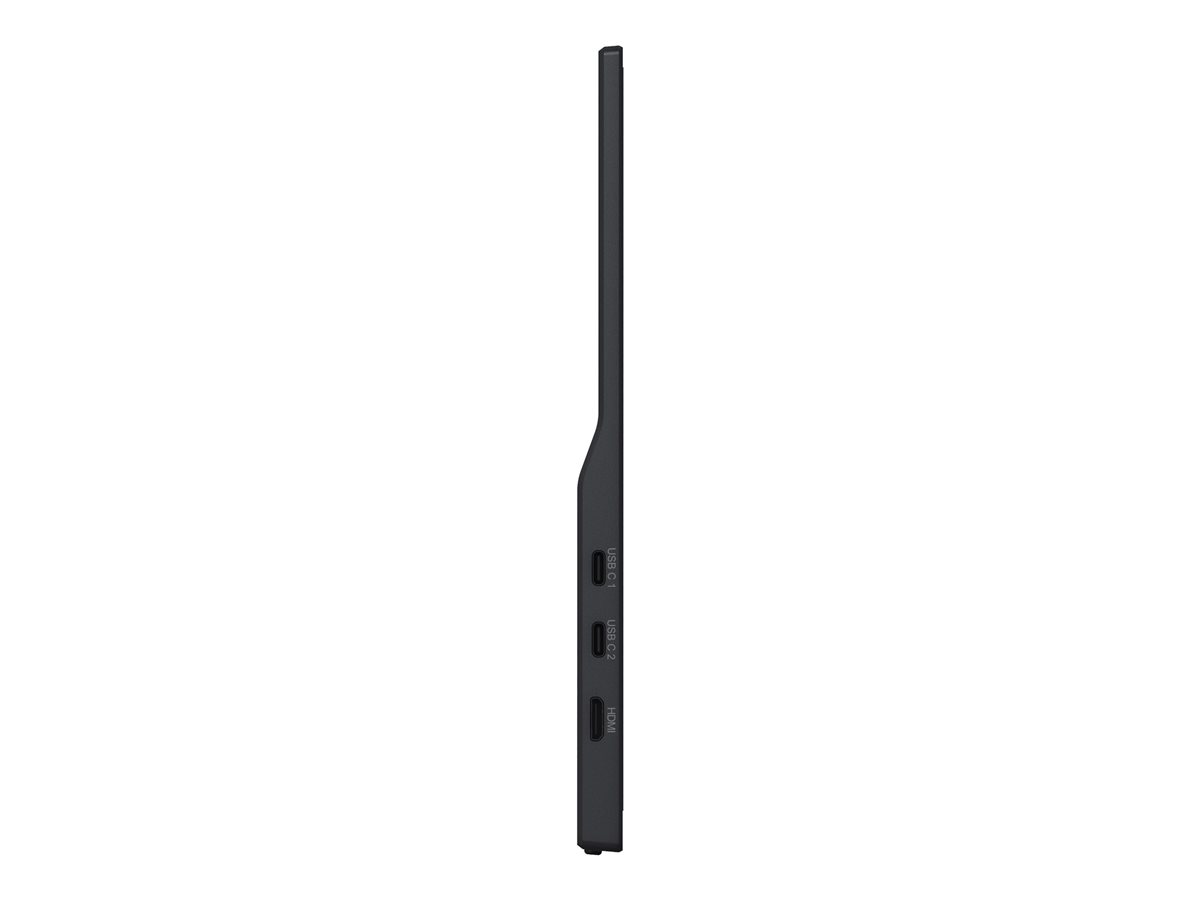 iiyama ProLite P1671HSC-B1 - LED monitor - Full HD (1080p) - 15.6" – foto 12