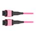 Eaton Tripp Lite Series 100G Multimode 50/125 OM4 Fiber Optic Cable 12F MPO/MPO-PC F/F Type-B Polarity OFNP Magenta 4M TAA