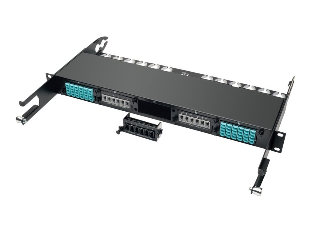 Tripp Lite 100Gb/120Gb Pass Through Cassette (x6) 24-Fiber MTP/MPO Coupler