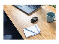 TRUST Souris sans fil ZAYA rechargeable