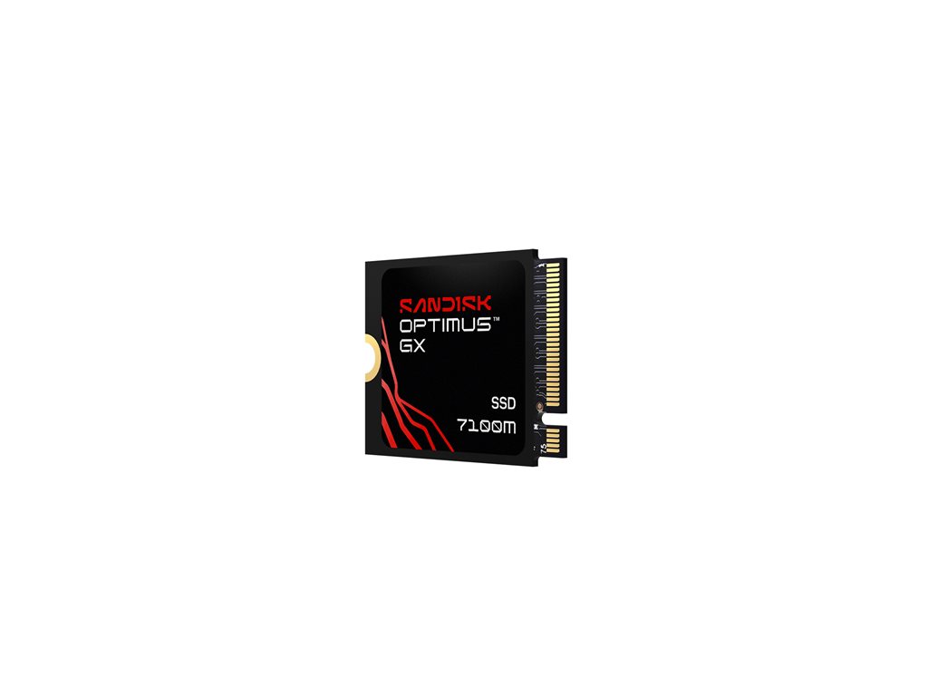 SanDisk Optimus GX 7100M