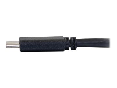 C2G Câble USB C vers DisplayPort de 1,8 m