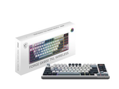 MSI FORGE GK600 - Keyboard