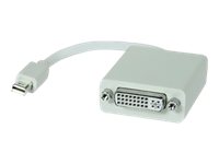 Comprehensive DisplayPort adapter Mini DisplayPort (M) to DVI