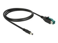 DeLOCK 8 pin USB PlusPower (12 V) (male) - Strøm DC jackstik 2,1/5,5 mm (male) Sort 1m Forstærket USB kabel