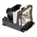 eReplacements Premium Power POA-LMP53-OEM Sanyo Bulb - projector lamp
