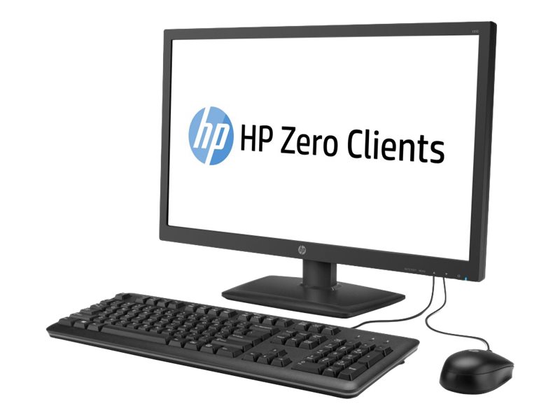 HP t310 - Zero client