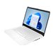 HP Laptop 14-dq3000dx