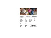 LOGI Ultimate Ears Miniroll Grey