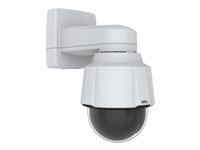AXIS P5654-E 60 Hz Network surveillance camera PTZ outdoor, indoor color (Day&Night) 