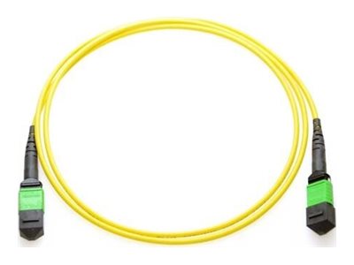 Axiom - Trunk cable - TAA Compliant