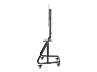 NEOMOUNTS Mobile Flat Screen Floor Stand