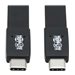 Tripp Lite USB C Flat Cable (M/M)