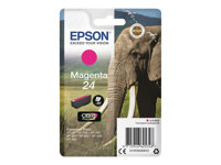 EPSON 1LB ink Singlepack Magenta 24