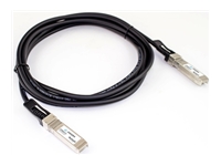 Axiom - Câble d'attache direct 25GBase-CU - SFP28 (M) pour SFP28 (M) - 150 cm 