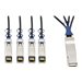 Tripp Lite 40GbE QSFP+ to 10GbE SFP+ Passive Copper Breakout Cable QSFP-4SFP10G-CU1M Compatible 2M 6.5