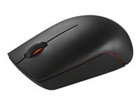 Lenovo 300 Wireless Compact - Mouse - with battery - optical - 3 buttons - wireless - 2.4 GHz - USB wireless receiver - cloud gray - blister