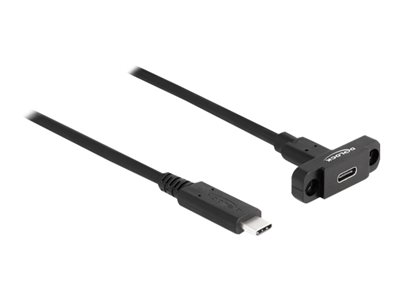 DELOCK SuperSpeed USB 10 Gbps (USB 3.2 Gen 2) Kabel USB Type - 87824
