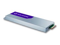 Solidigm D7 Series D7-P5520 - SSD - 3.84 TB - PCIe 4.0 x4 (NVMe)