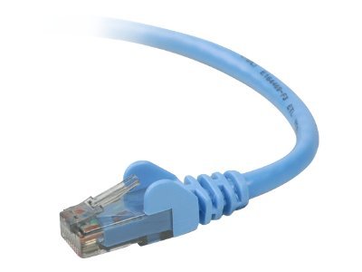 Belkin - Patch cable