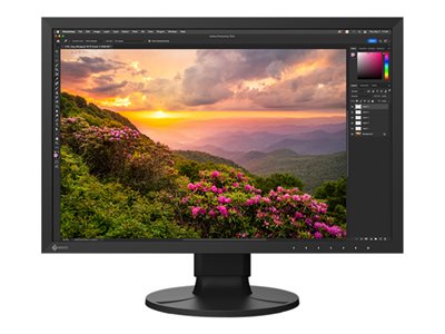EIZO ColorEdge CS2400S