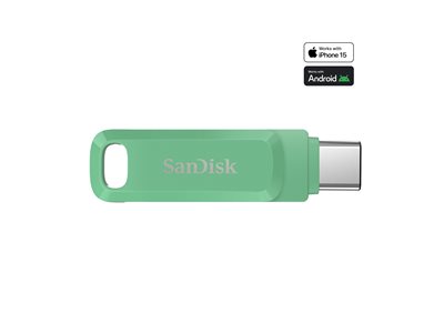 Ultra Dual Drive Go - USB flash drive - 1 TB - USB