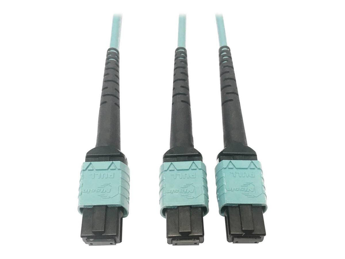 Eaton Tripp Lite Series 400G Multimode 50/125 OM4 Plenum Fiber Optic Cable, 24F MTP/MPO-PC to (x2) 12F MTP/MPO-PC (F/F), Aqua, 3 m