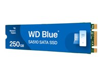 WD Blue SA510 Solid state-drev WDS250G3B0B 250GB M.2 SATA-600