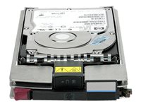 HPE StorageWorks - hard drive - 1 TB - FATA