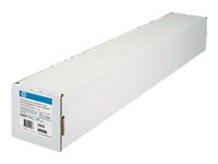 HP Durable Banner with DuPont p
