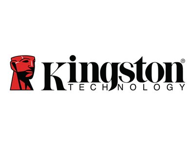 Kingston DataTraveler SE9 G3