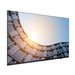 LENOVO ThinkVision E65 LFD 64.5p UHD