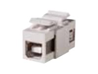 KEYSTONEUSB 2.0 A-BF/F FOG WHITE