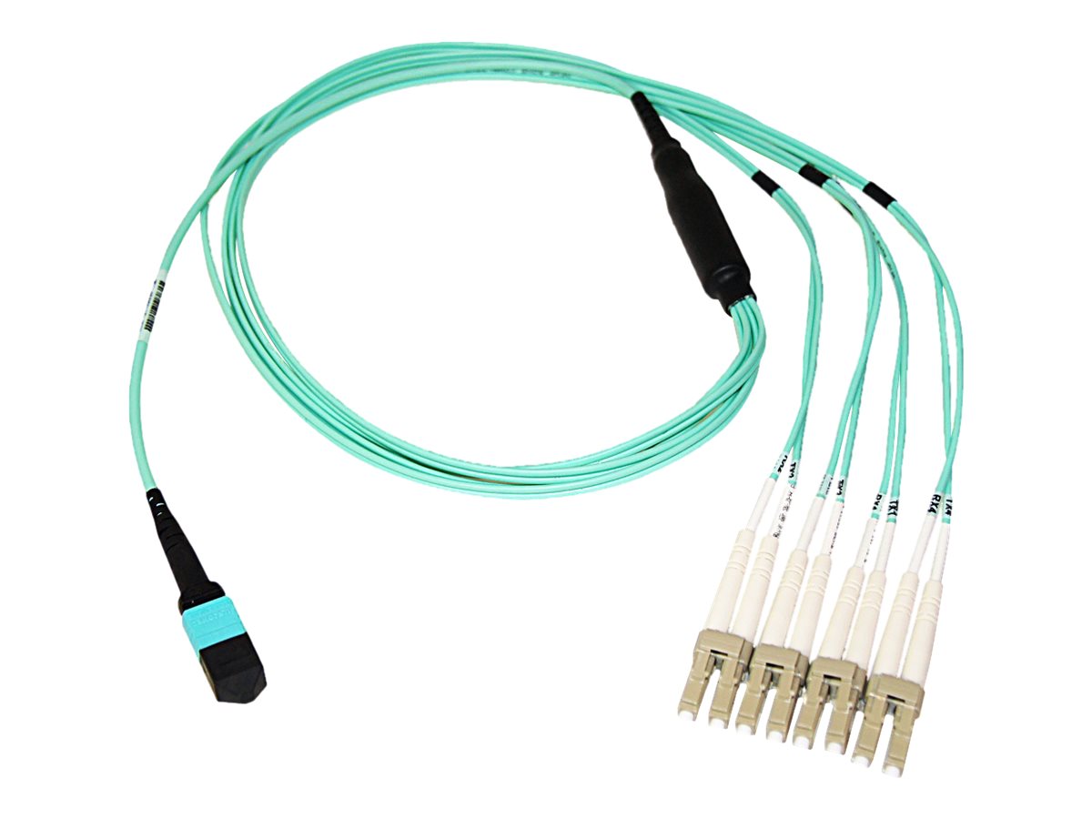 Axiom - Network cable