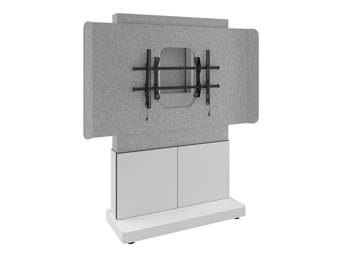 FM-DS-6675FS-D8W