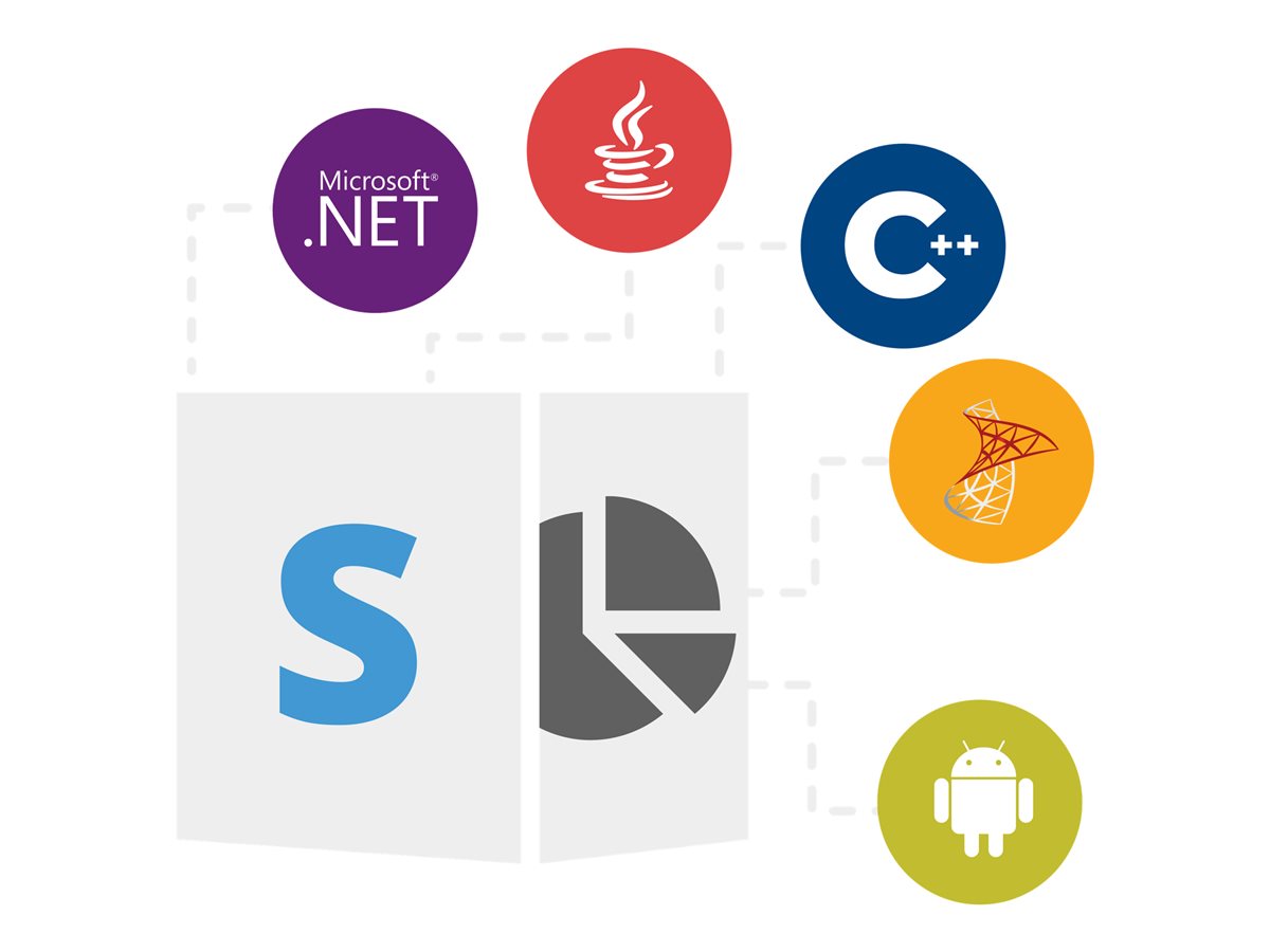 Product Family - Site Small Business 1 Year Standard Support Renewal – Aspose