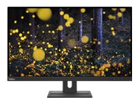 Lenovo ThinkVision  62D0GAT1EU