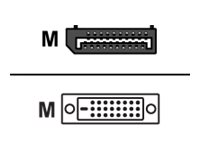 M-CAB DisplayPort han -> DVI-D han 1 m