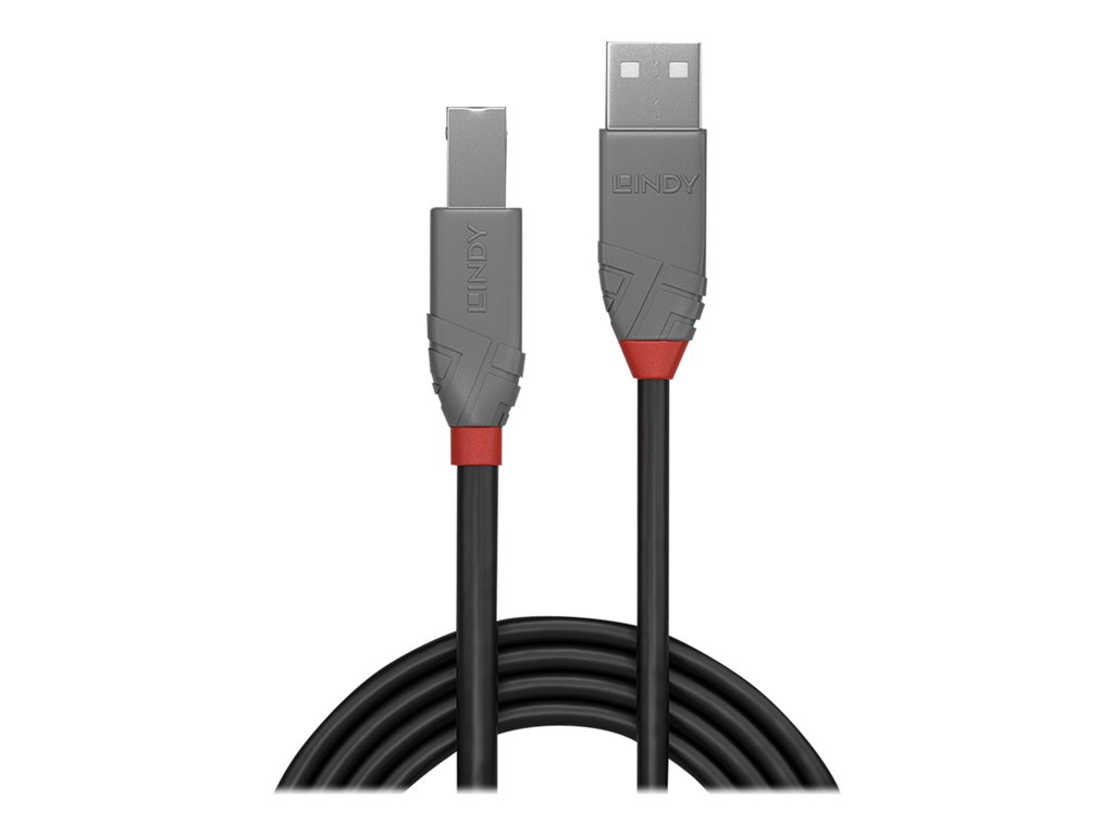 C ble USB 2.0 type A vers B, Anthra Line, 3m