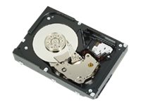 DELL 300GB 2.5-IN SFF SAS 6GBS 15K PE-SERIES ENT CLASS H-P