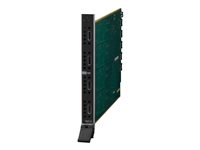 AMX Enova DGX-O-HDMI-4K60 HDMI output module