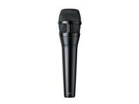 Shure SLX-D Wireless System SLXD24D+/N8C G57 Band microphone system