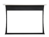 Projecta Tensioned Elpro Concept projection screen - 131.1" (333 cm)
