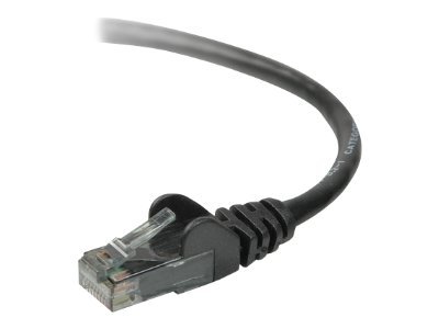 Belkin - Patch cable