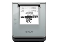 Epson TM L100 (121) Termisk linje