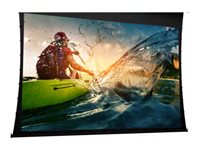 Da-Lite Tensioned DescenderPro projection screen - 116" (295 cm)
