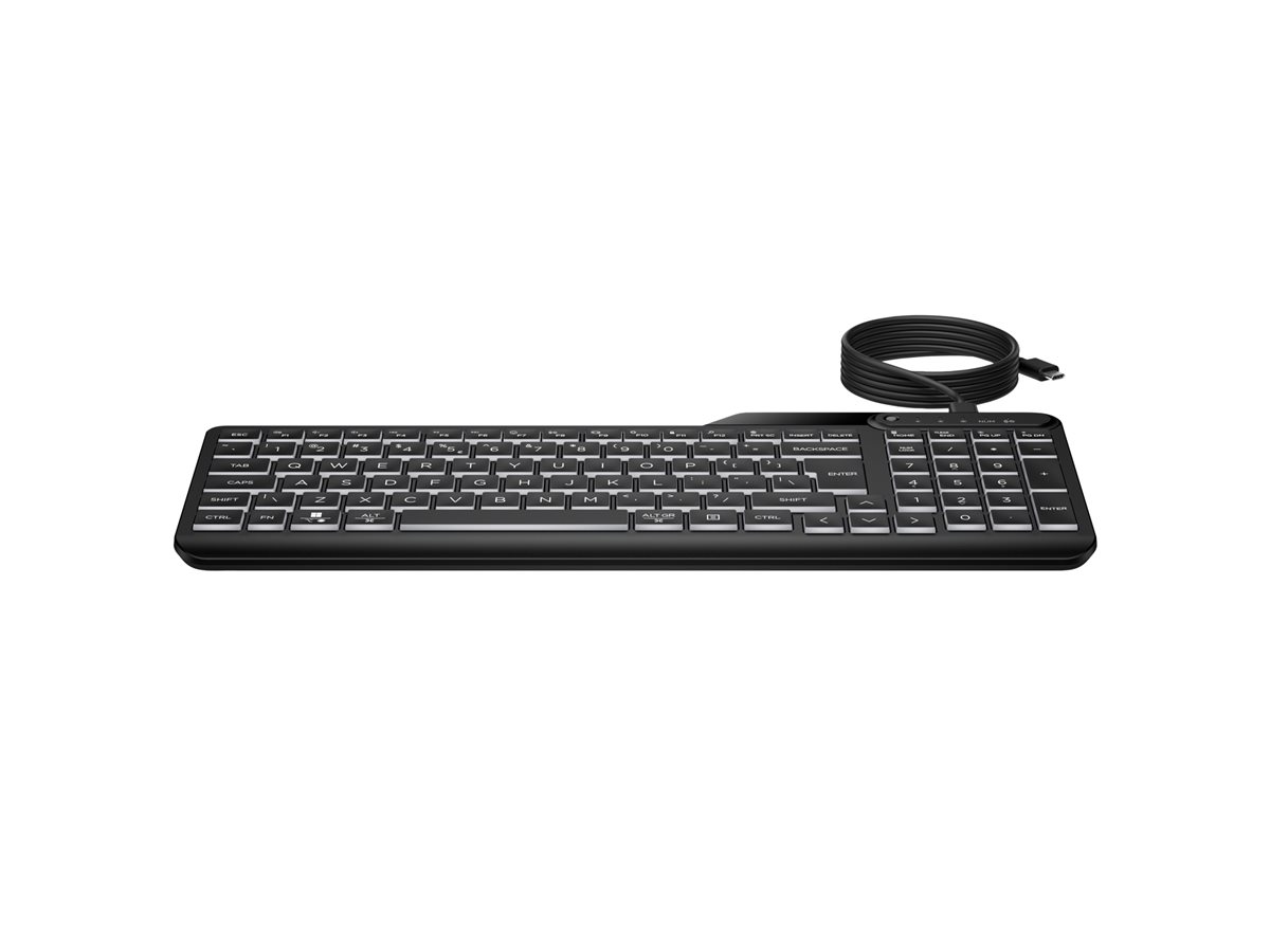 HP Drátová klávesnice – foto 10