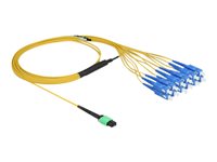 DeLOCK Fanout-kabel Fiberoptik 2m